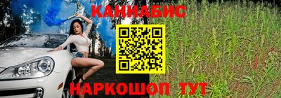 дмт Заводоуковск