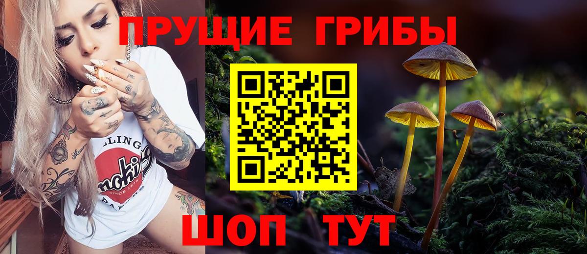 Касимов  Псилоцибиновые грибы Psilocybe  Псилоцибиновые грибы прущие грибы  Вход с VPN 